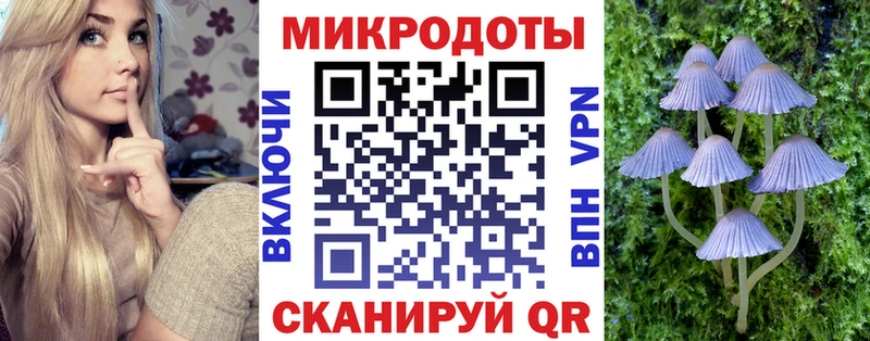 Галлюциногенные грибы Magic Shrooms Купить Елизово