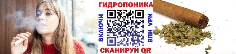 Купить где  Елизово  Каннабис план 